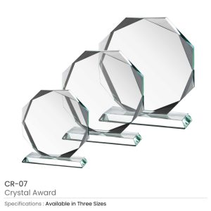 Crystal Awards - Image 3