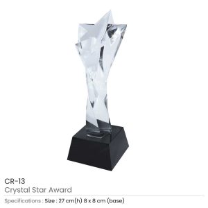 Star Crystal Trophy - Image 4