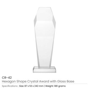 Hexagon Shaped Crystal Awards - Image 3