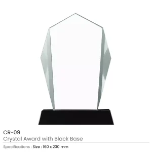 Crystal Award with Black Base in Wooden Box - Image 3