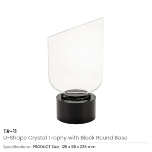 Crystal Trophy with Round Black Base in Premium Fiber Box - Image 3