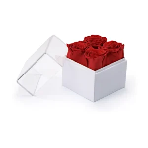Forever Natural Flowers Gift Box White & Clear Acrylic Lid, 4Pcs Long Life Roses - Image 4